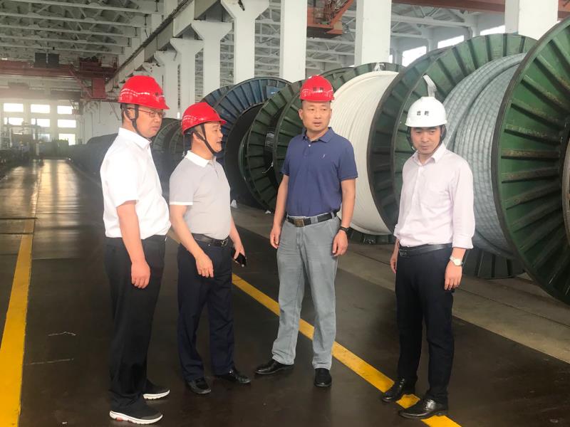 无锡市国资委领导莅临365英国上市公司电缆调研指导党建工作