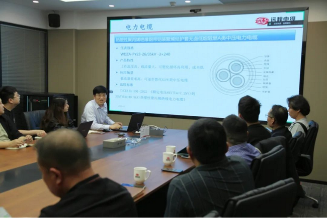 Deepening the collaborative empowerment front line -- the marketing Symposium of remote stock 2025 Direct stores was successfully held